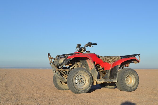 ATV Quad Bike Safari & Camel Ride With Transfer - Hurghada - A camel ride after the ATV