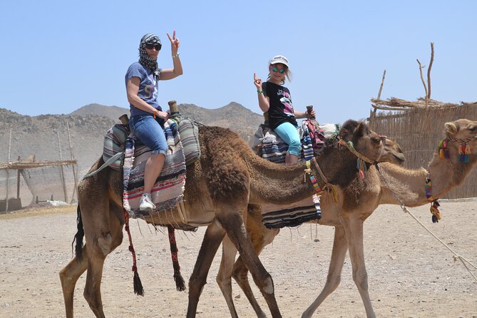 ATV Quad Bike Safari & Camel Ride With Transfer - Hurghada - What the $14.25 price really delivers