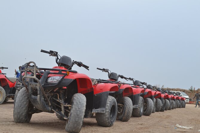 ATV Quad Bike Safari & Camel Ride With Transfer - Hurghada - Strengths and weak points to weigh