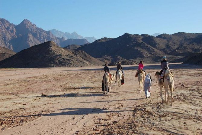 Bedouin BBQ in the Egyptian Desert by 4x4 - Coffee, dates, bread, and the village visit