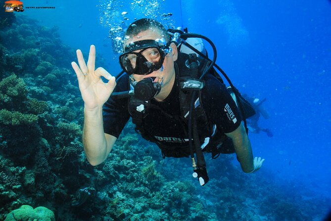 Beginners Scuba Diving Boat Trip With Equipment & lunch -Hurghada - Starting from Hurghada at 8:00 am
