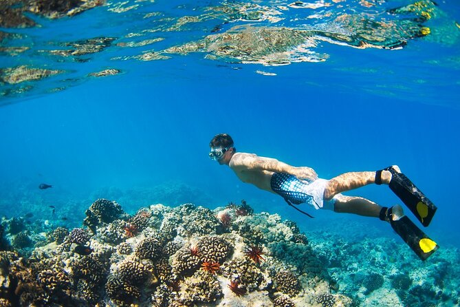 Beginners Scuba Diving Boat Trip With Equipment & lunch -Hurghada - What the $5 price really means