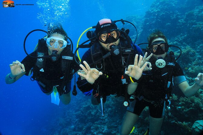 Beginners Scuba Diving Boat Trip With Equipment & lunch -Hurghada - Coral, fish, and the value of two water stops