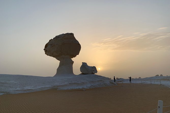 Black and White Desert Tour 2 Days 1 Night - Why the Black and White Deserts are worth the long ride