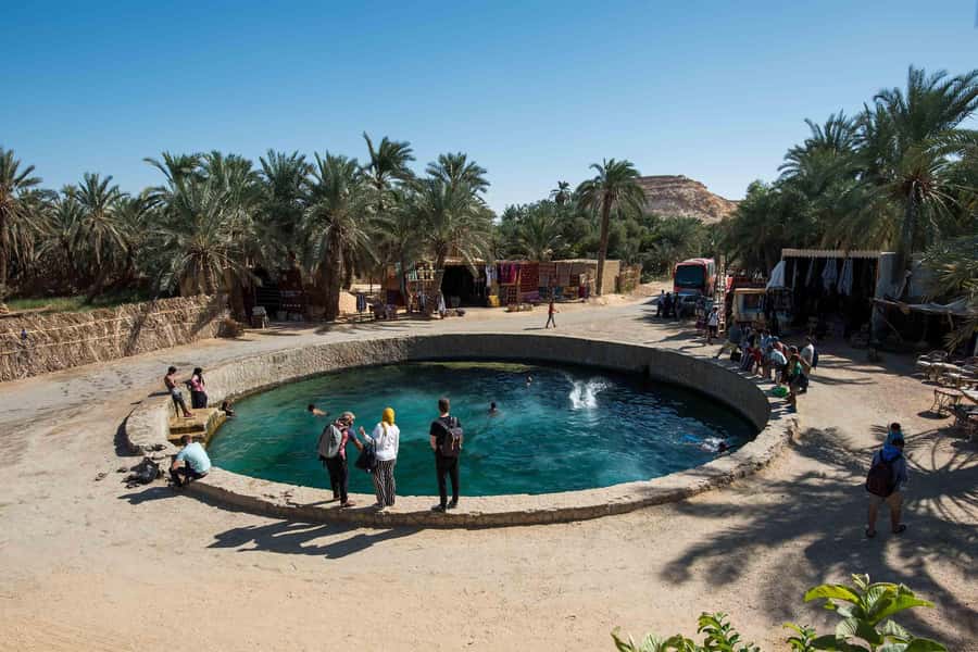 Cairo: 3-Day Siwa Oasis Tour, Safari, Camp & Historical Site - Why Siwa is worth the long drive from Cairo