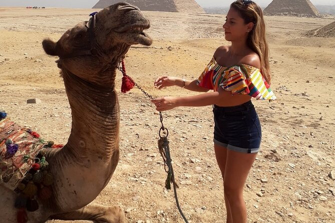 Cairo 8 Hour Private Tour of Pyramids, Egyptian Museum and Bazaar - Lunch breaks up a demanding sightseeing day