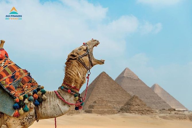 Cairo and Nile Cruise Tour - Key reasons to consider this Egypt tour