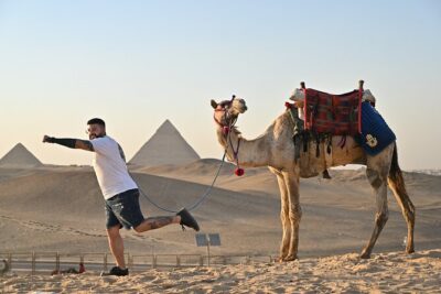 Cairo Day Tour: Grand Egyptian Museum, Giza Pyramids & Sphinx