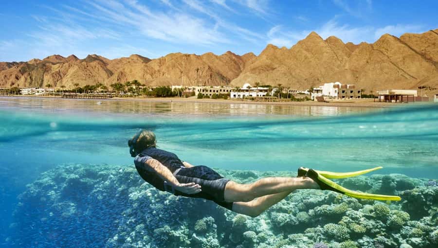 Cairo: Day Tour to the Red Sea with Lunch - Key points before you book