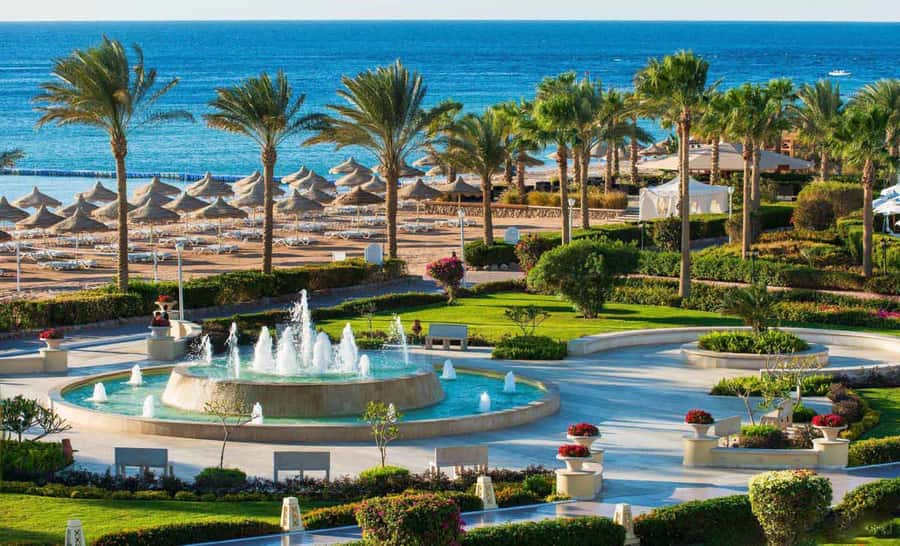 Cairo: Day Tour to the Red Sea with Lunch - Arriving at the Ain Sokhna beachfront hotel