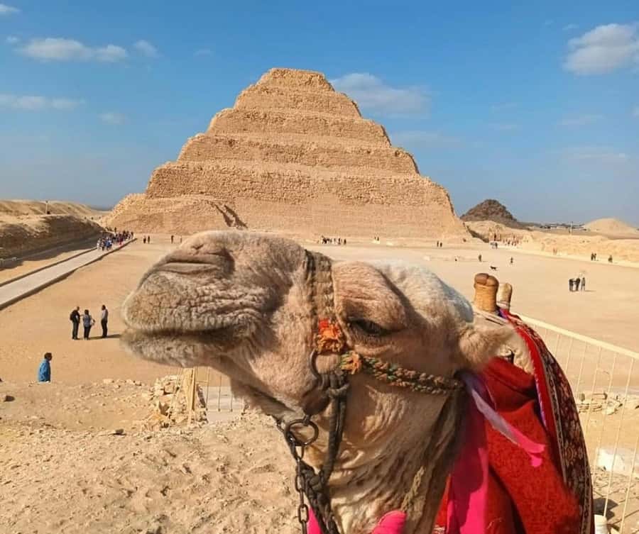 Cairo: Djoser, Bent Pyramid & Memphis Day Trip - Key points at a glance