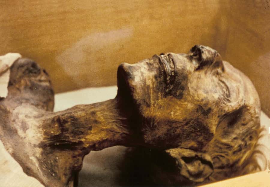 Cairo: Egyptian Museum 4-Hour Private Tour with Transfer - The royal mummies question