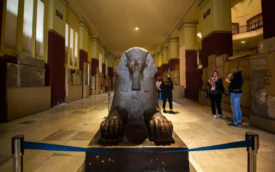 Cairo: Egyptian Museum Private Half Day Guided Tour - How the half-day pacing works
