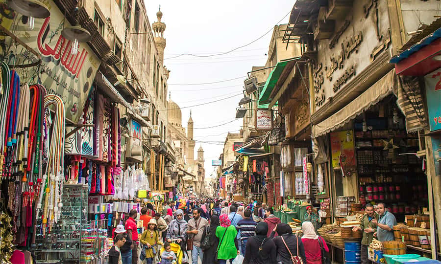 Cairo: El-Moez Street, Cairo Tower, and El-Fishawy Café - Who will enjoy this tour most