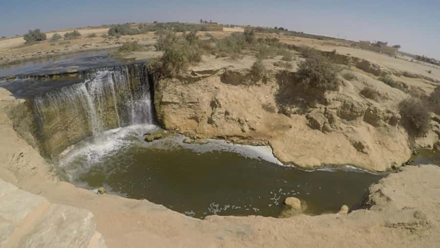 Cairo: Fayoum, Wadi El Rayan, and Wadi al Hitan 4x4 Tour - The Best Parts of This Fayoum Day Trip