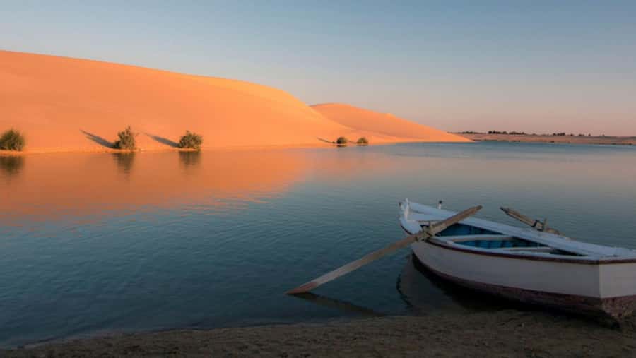 Cairo: Fayoum, Wadi El Rayan, and Wadi al Hitan 4x4 Tour - Wadi al Hitan, the Valley of the Whales