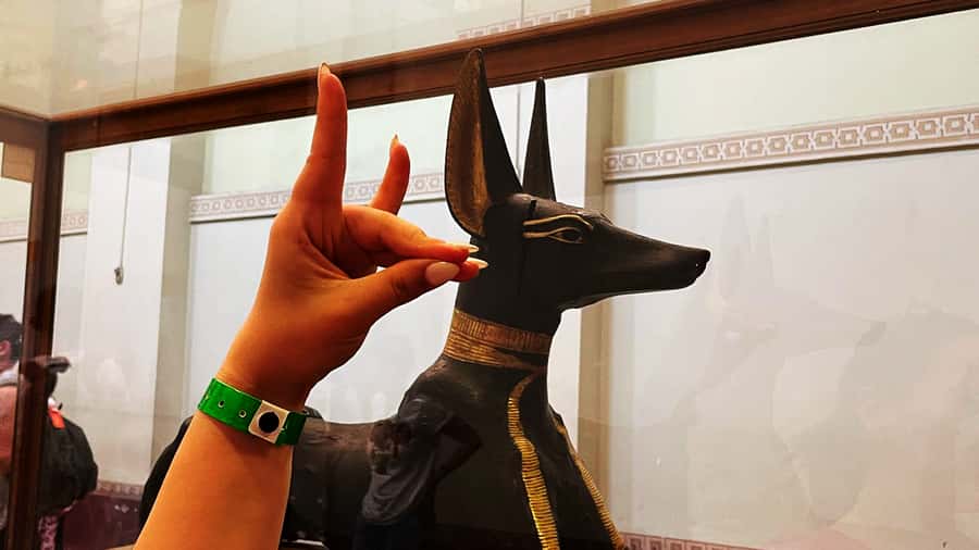 Cairo: Giza Pyramids, Egyptian Museum & Nile Dinner Cruise. - What the $145 price really covers