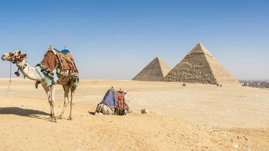 Cairo: Giza Pyramids, Memphis, Saqqara Private Tour & Lunch - Giza and the Great Pyramid
