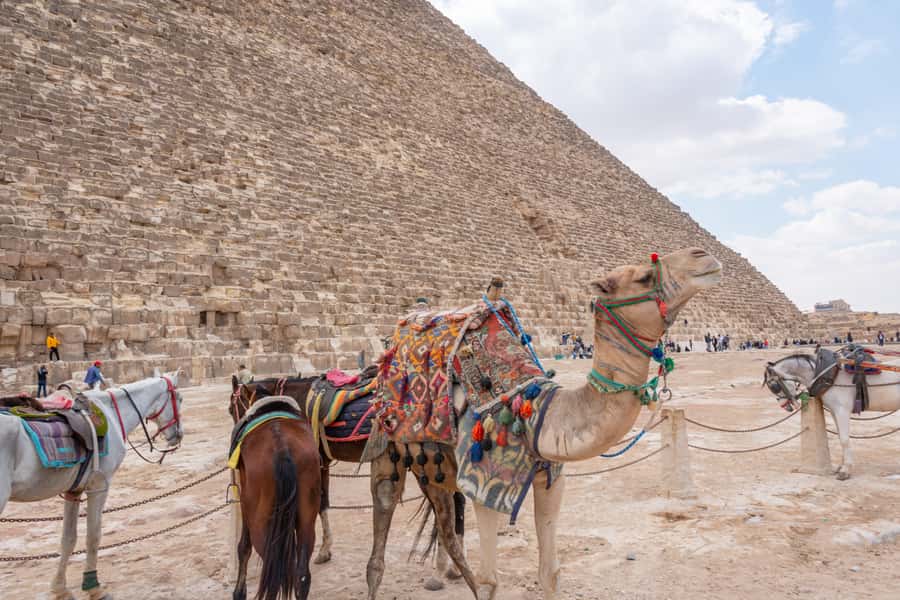 Cairo: Giza Pyramids, Museum & Tahrir Square Private Tour. - Guides, drivers, and the private format