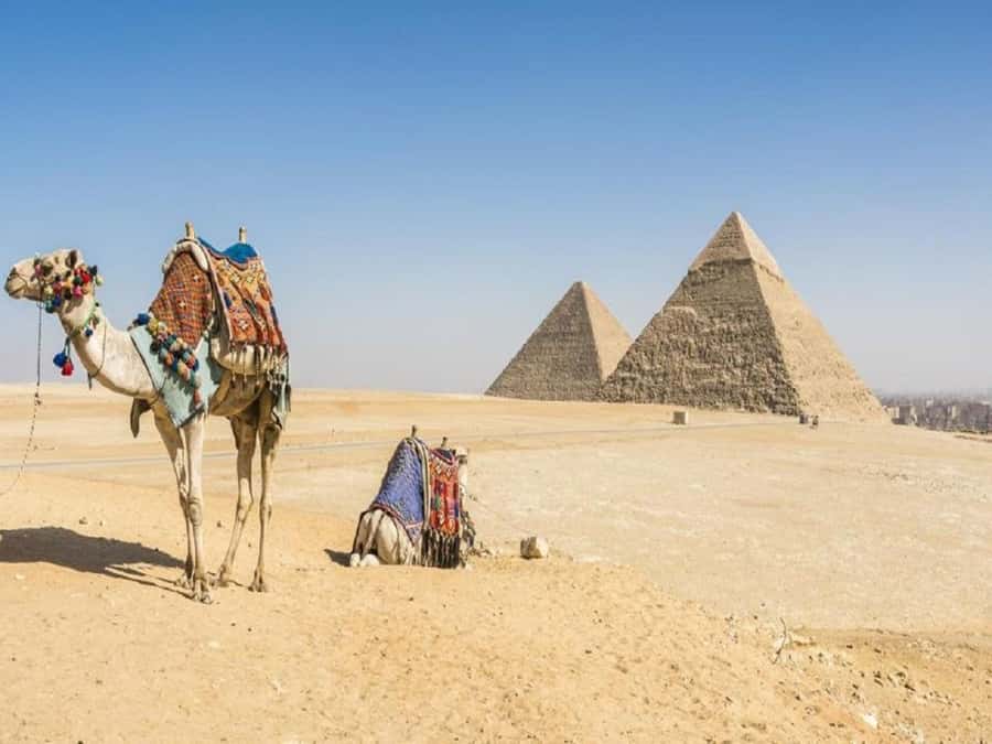 Cairo: Giza Pyramids, Sakkara & Dahshur All-Inclusive Tour - Is $70 good value for seven hours?