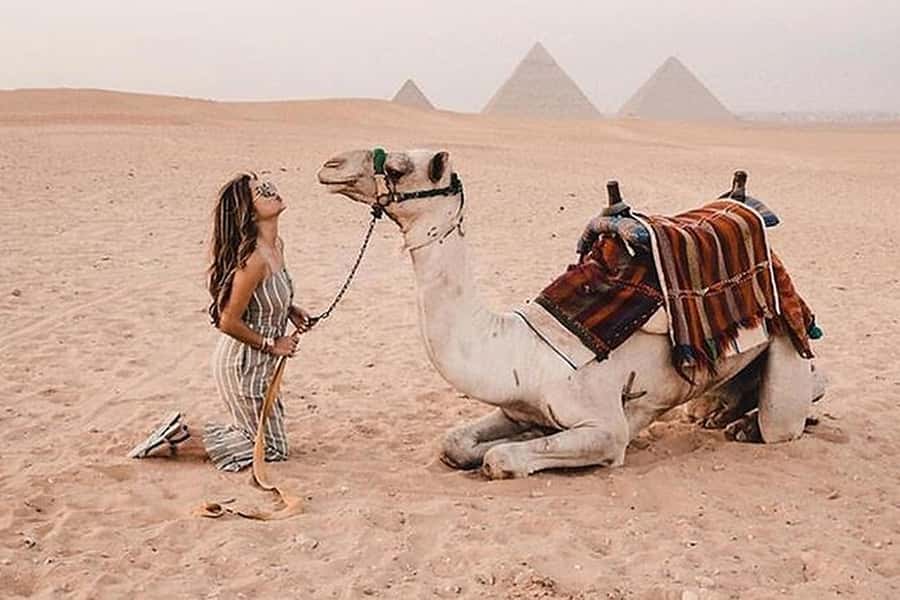 Cairo: Grand Egyptian Museum, Giza Pyramids and Sphinx Tour - Transport, group size, and comfort
