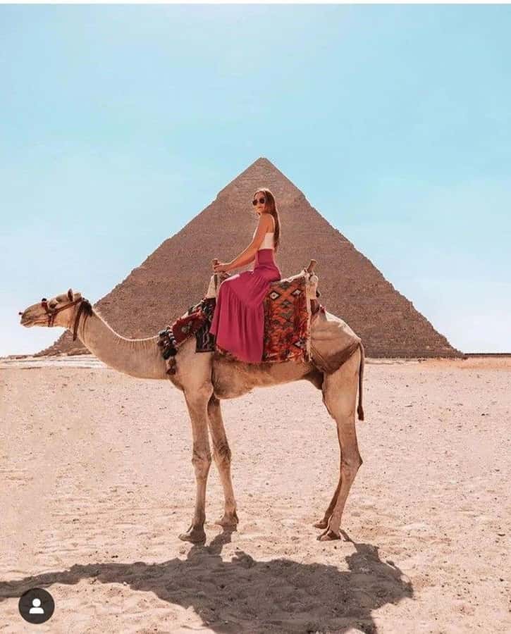 Cairo: Great Pyramids of Giza and Egyptian Museum Tour - Why this seven-hour Cairo tour works