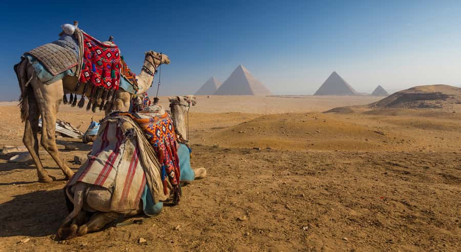 Cairo: Great Pyramids of Giza and Egyptian Museum Tour - Seeing Cheops, Chephren, and Mykerinus at Giza