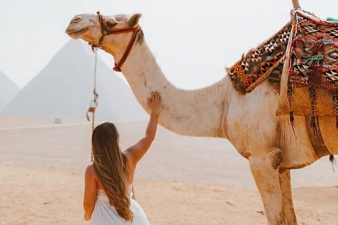 Cairo Layover Giza Pyramids & Sphinx with private tour Guide - Why a Cairo layover tour can work well