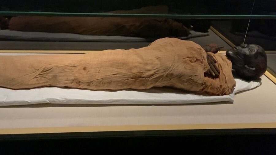 Cairo: National Museum of Egypt Skip-the-Line QR Ticket - Why The National Museum of Egyptian Civilization Matters