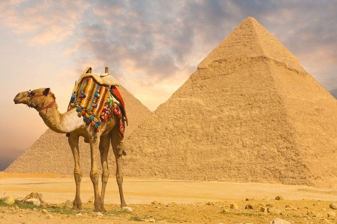 Cairo Over day Pyramids Sphinx and Museum With Lunch - Hurghada - The overnight bus from Hurghada to Cairo