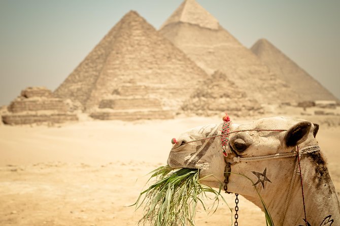 Cairo Private Tours To Giza Pyramids,Egyptian Museum & Bazaar - Is the $8 price good value?