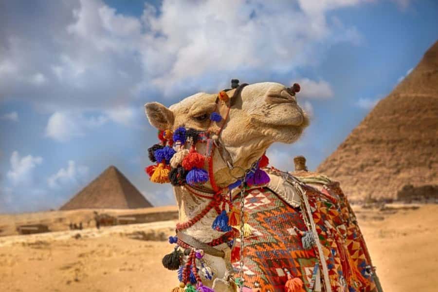 Cairo: Pyramids & Great Sphinx Private Tour with Camel Ride - Meeting the Great Pyramid of Giza