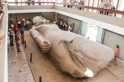 Pyramids, Sakkara & Memphis Tour with Lunch
