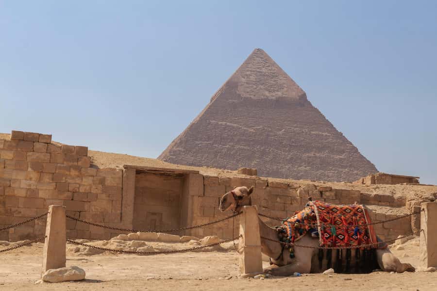 Cairo: Pyramids, Sphinx & Grand Egyptian Museum Private Tour - Is $155 per person a fair price?