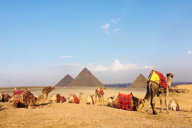 Cairo Sightseeing Tour (Giza Pyramids + Museum + Khan el Khalili Bazaar) - Who should book this Cairo sightseeing tour