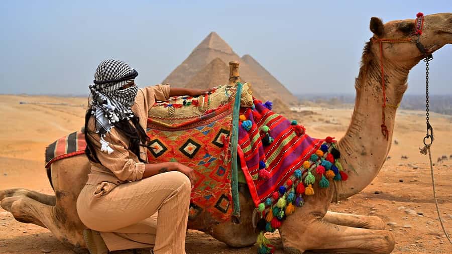 Cairo: Sunrise Camel Ride, Pyramids Tour & Local Breakfast. - What makes this four-hour tour worth considering