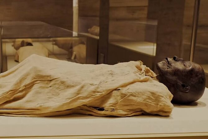 Cairo Tour To The National Museum of Egyptian Civilization, Citadel & Bazaar - NMEC and the royal mummies in ancient Fustat