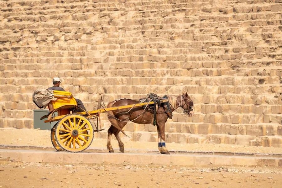 Cairo: Trip Pyramids, Sakkara, & Memphis Tour with Lunch - Lunch and the practical cost of drinks