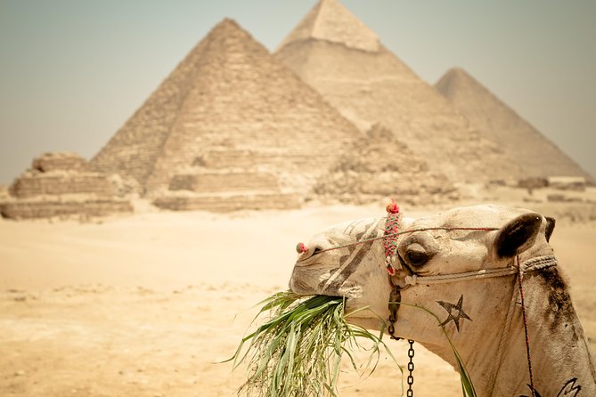 Camel Ride around the Pyramids During Sunrise Or Sunset - The three-hour plan from hotel to desert
