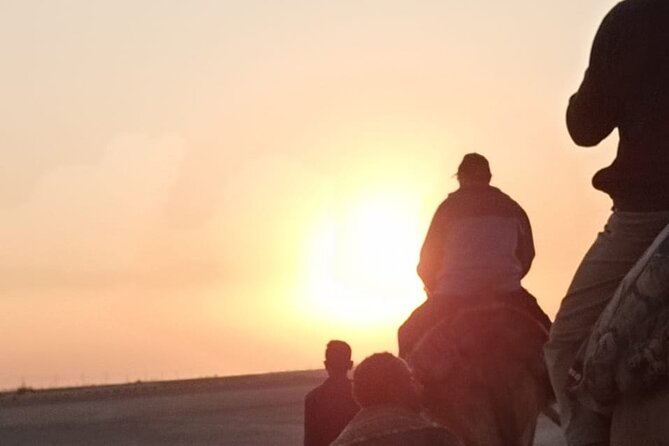 Camel Riding Tour in Luxor West Bank - Starting at Luxor Stables on the West Bank