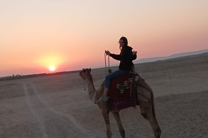 Camel Riding Tour in Luxor West Bank - Through Villages, Fields, and the Nile Country
