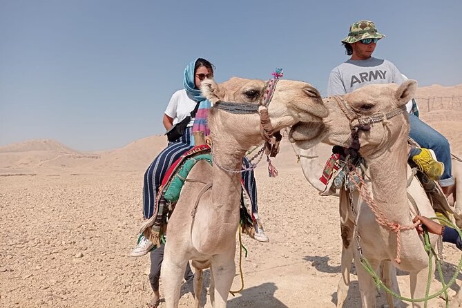 Camel Riding Tour in Luxor West Bank - Sunrise and the Hot-Air Balloons