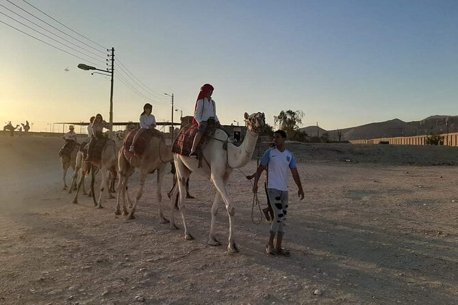 Camel Riding Tour in Luxor West Bank - Sunset Tea in the Desert