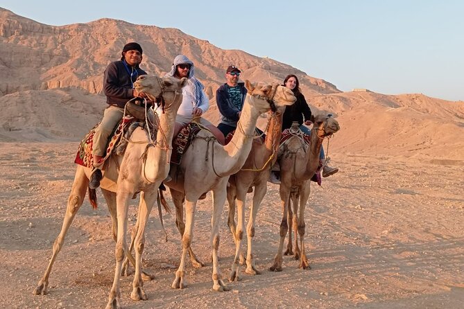 Camel Riding Tour in Luxor West Bank - The Four-Hour Mountain Adventure