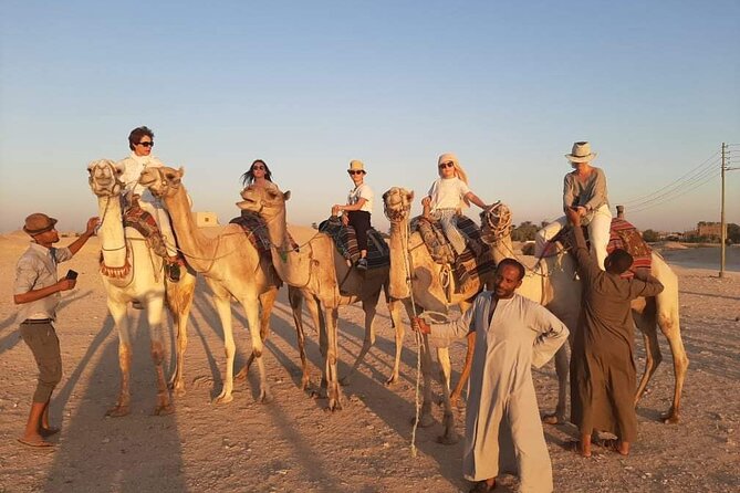 Camel Riding Tour in Luxor West Bank - How the Private Format Changes the Ride