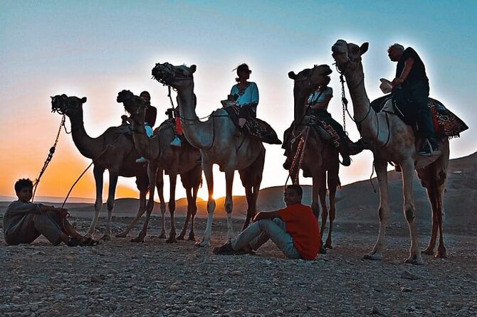 Camel Riding Tour in Luxor West Bank - What the First Minutes on the Camel Feel Like