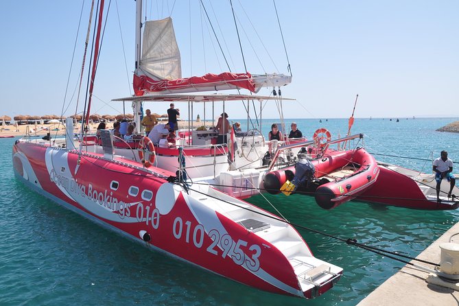 Catamaran Sailing Tour - The second stop: dolphins, fish, and a little luck