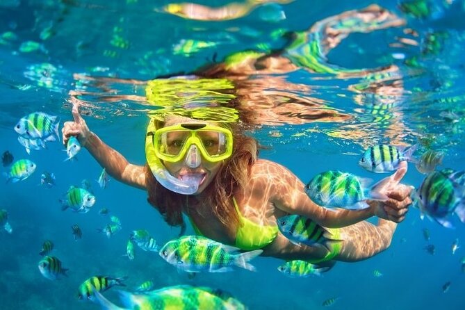 Conquest Semi Submarine Snorkeling Trip With transfer -Hurghada - The Snorkeling Stop Near the Coral Area