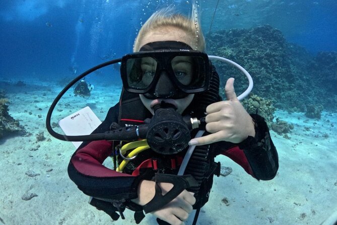Course for Padi OW in Red Sea and Sinai - What this Hurghada PADI course is really offering