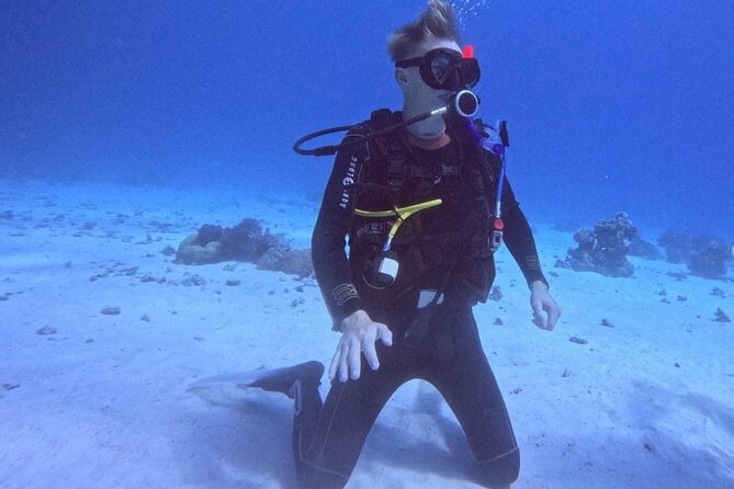 Course for Padi OW in Red Sea and Sinai - Confined-water skills that build confidence